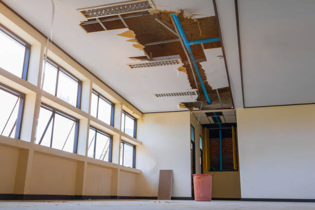 Best Flooded house restoration  in Winchester, CA