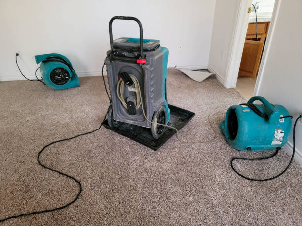 Best Sewage cleanup and water damage restoration  in Winchester, CA