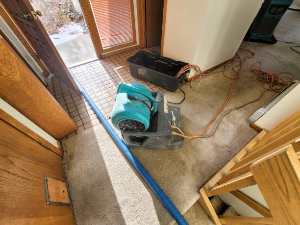 Best Flood damage cleanup  in Winchester, CA