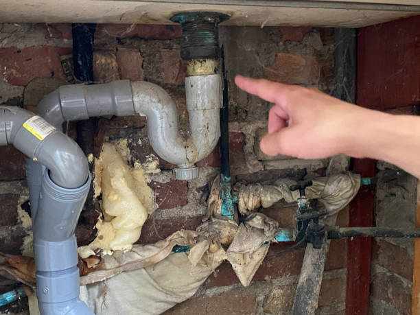 Best Water damage restoration specialists  in Winchester, CA