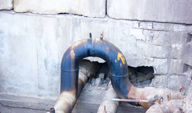 Best Water damage restoration near me  in Winchester, CA