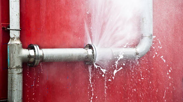 Best Water damage restoration near me  in Winchester, CA